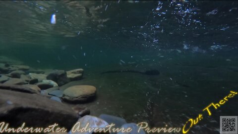 Underwater Adventure Tease with Out There!