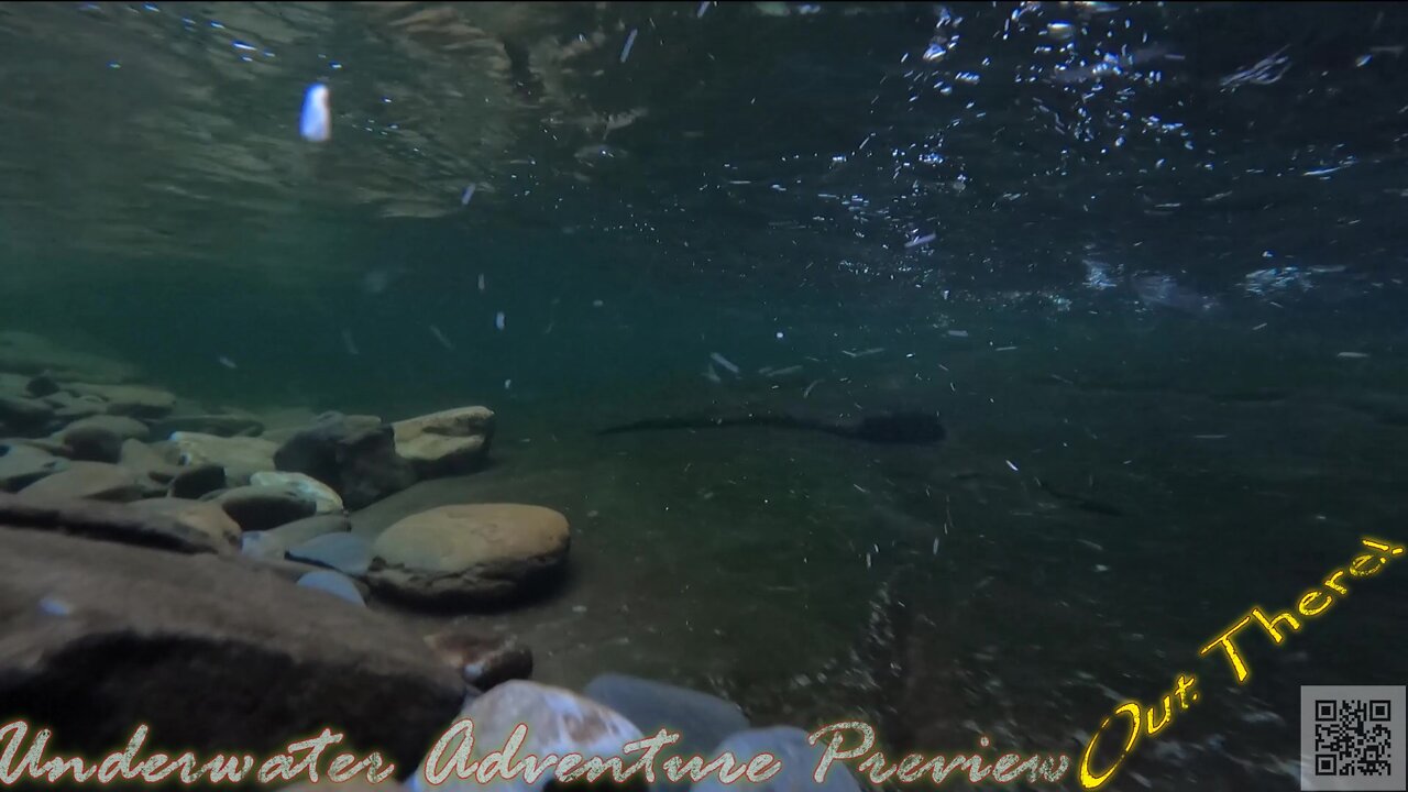 Underwater Adventure Tease with Out There!