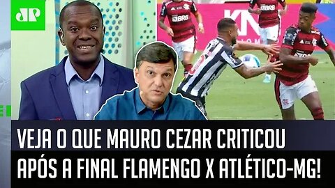 "É um CORPORATIVISMO NOJENTO!" VEJA o que Mauro Cezar CRITICOU após Flamengo x Atlético-MG!