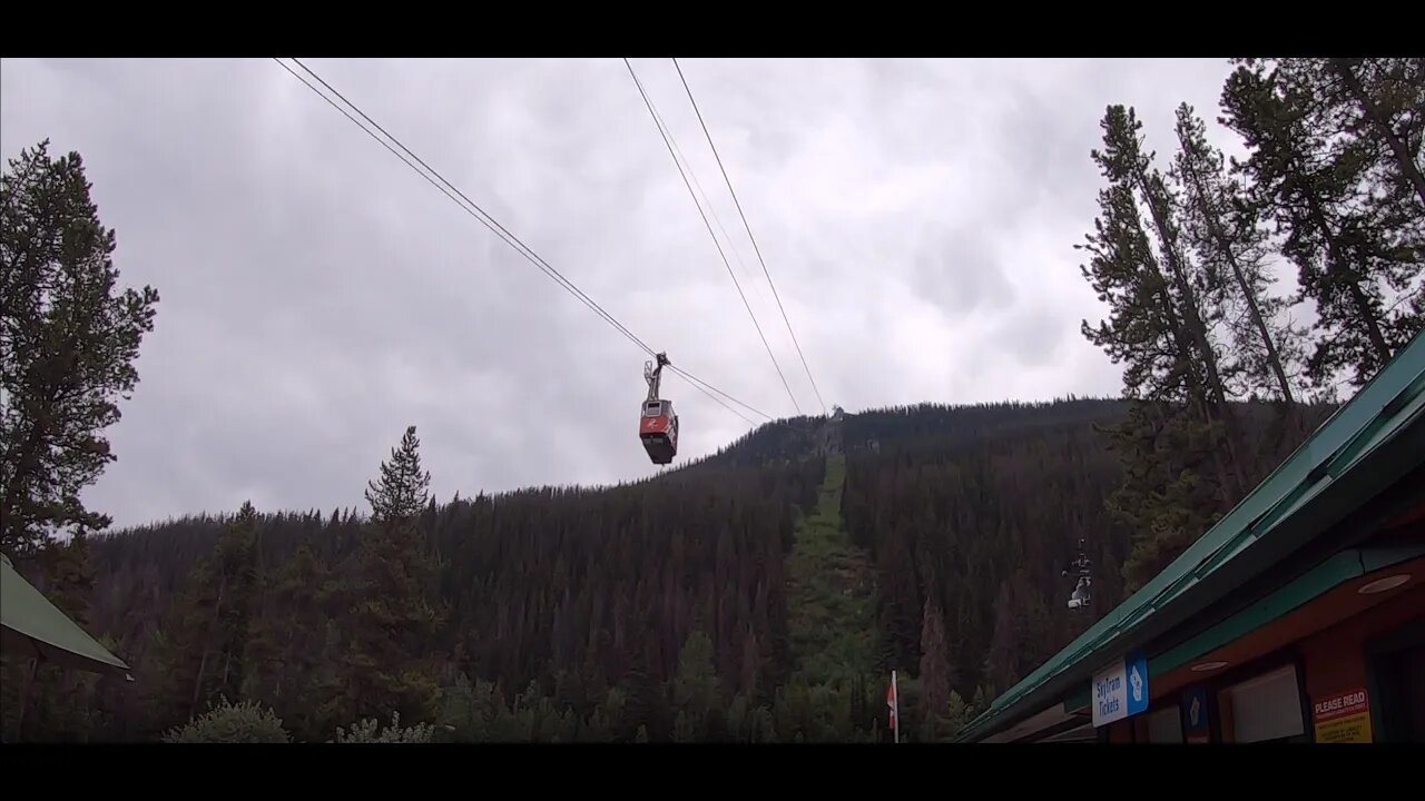 Jasper SkyTram, ride to the top, the views, then back down again, super fun!