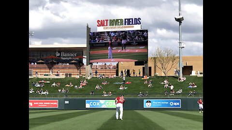 Take Me Out to the Ball Game!