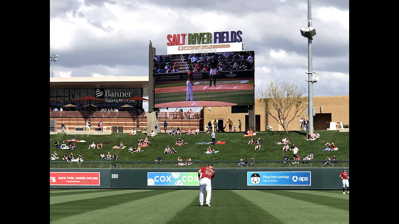 Take Me Out to the Ball Game!