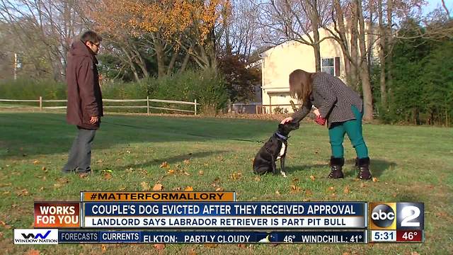 Couple's dog evicted due to banned breeds list