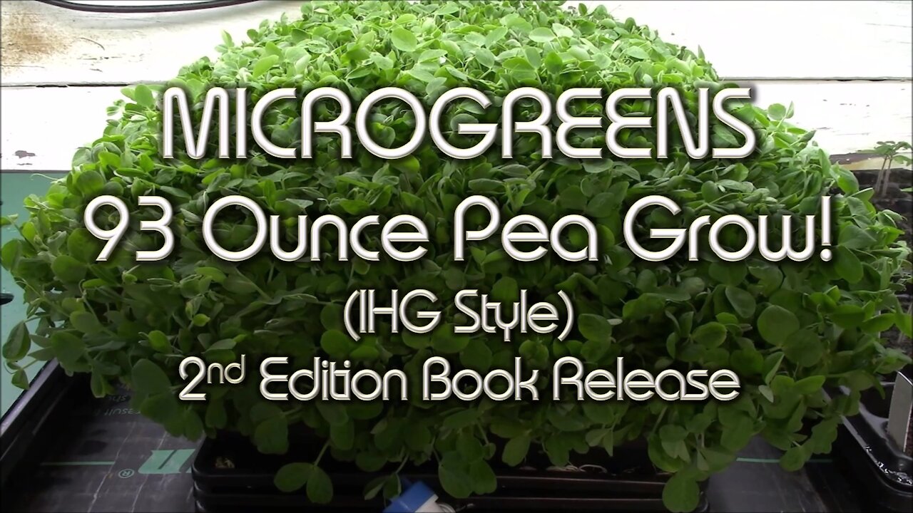 Huge Pea Microgreens Harvest & My Book Explains How