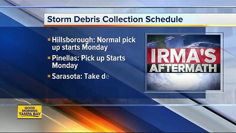 Storm debris collection schedule around Tampa Bay Area