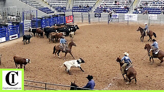 Number Sorting - West Texas Ranch Rodeo | Friday