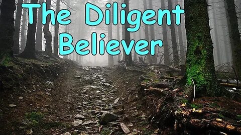 2. Peter 3:11-14 - The Diligent Believer