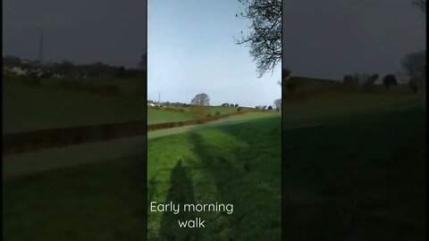 Early morning walk