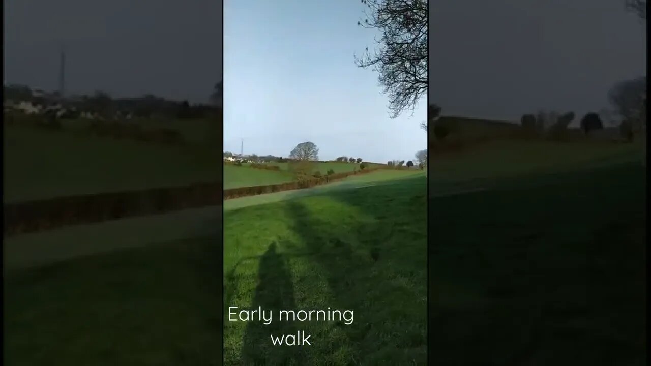 Early morning walk