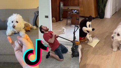 Quincy’s Funniest TikToks of 2021!
