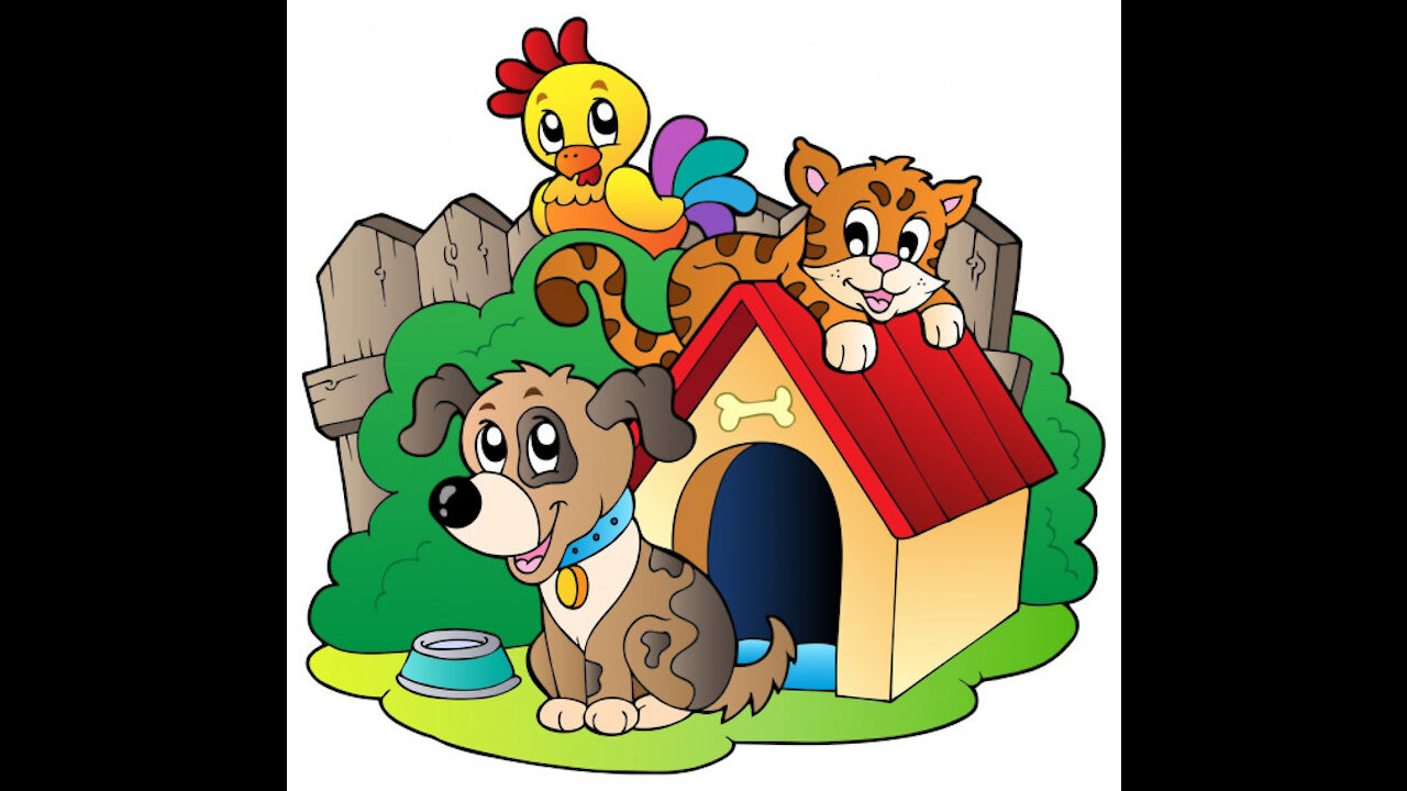 House Pets! Videos for babies, toddlers, kids