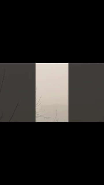 FOG 🌫️ #youtubeshorts #shorts #youtube #shortvideo #shortyoutube