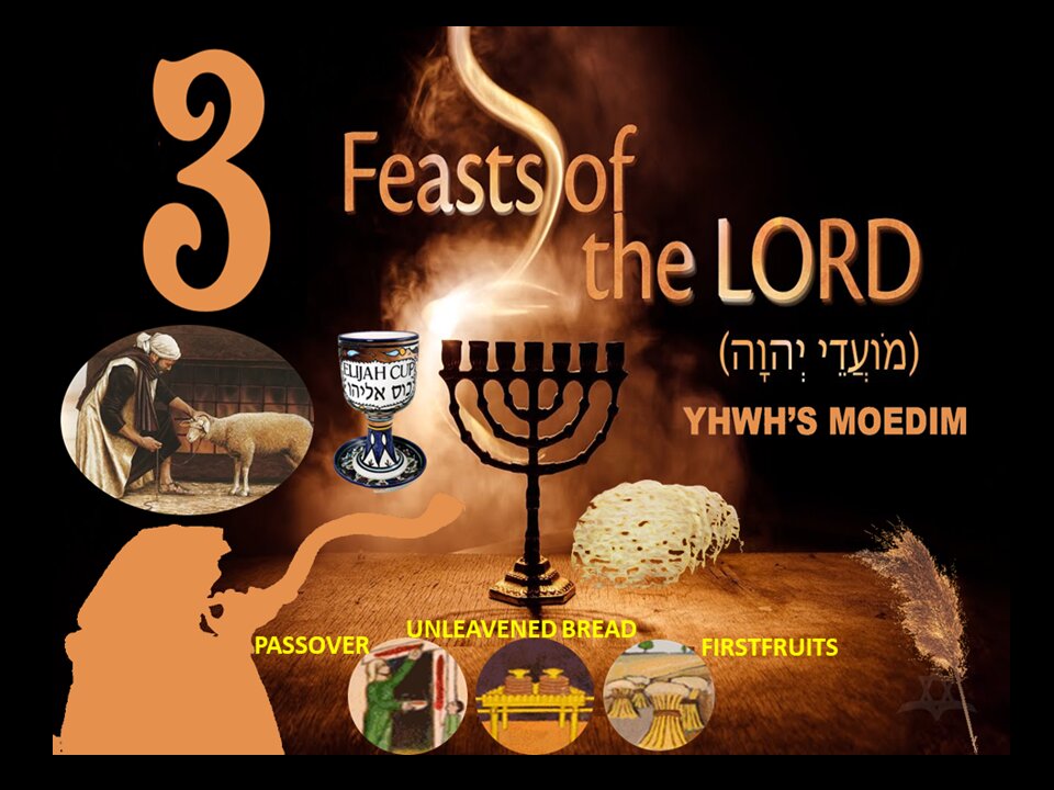 YHWS's Moedim Feasts of The Lord, Passover, Unleavened Bread, Firstfruits