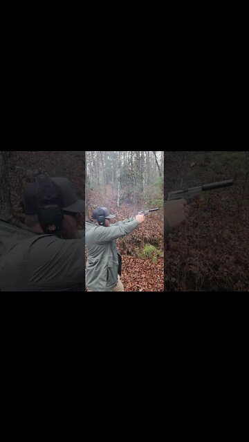 Sig P229 Elite- SUPPRESSED with DeadAir Oddessa 9 #shorts