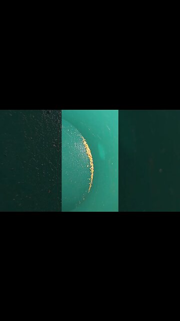 Georgia has the most beautiful GOLD!!! #findinggold