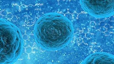 Ni los microorganismos ni los virus son la causa de la enfermedad.Capítulo3