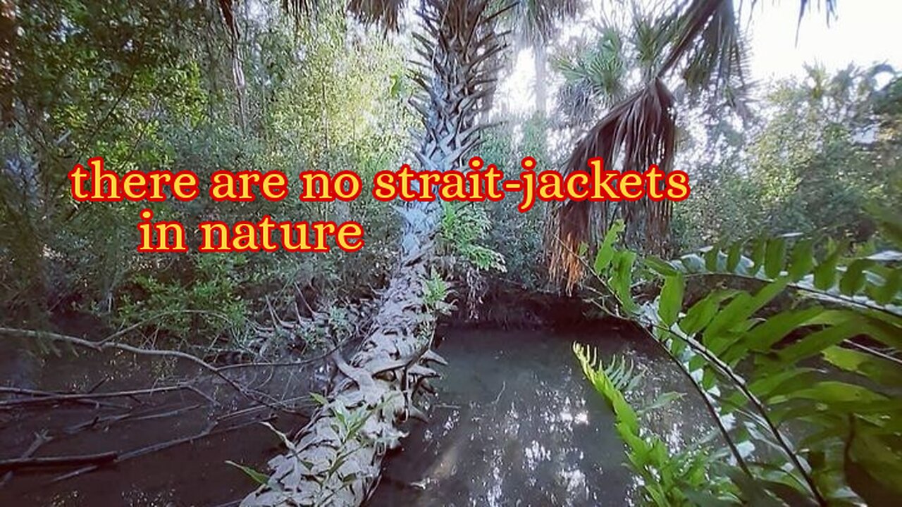 there are no strait-jackets in nature.