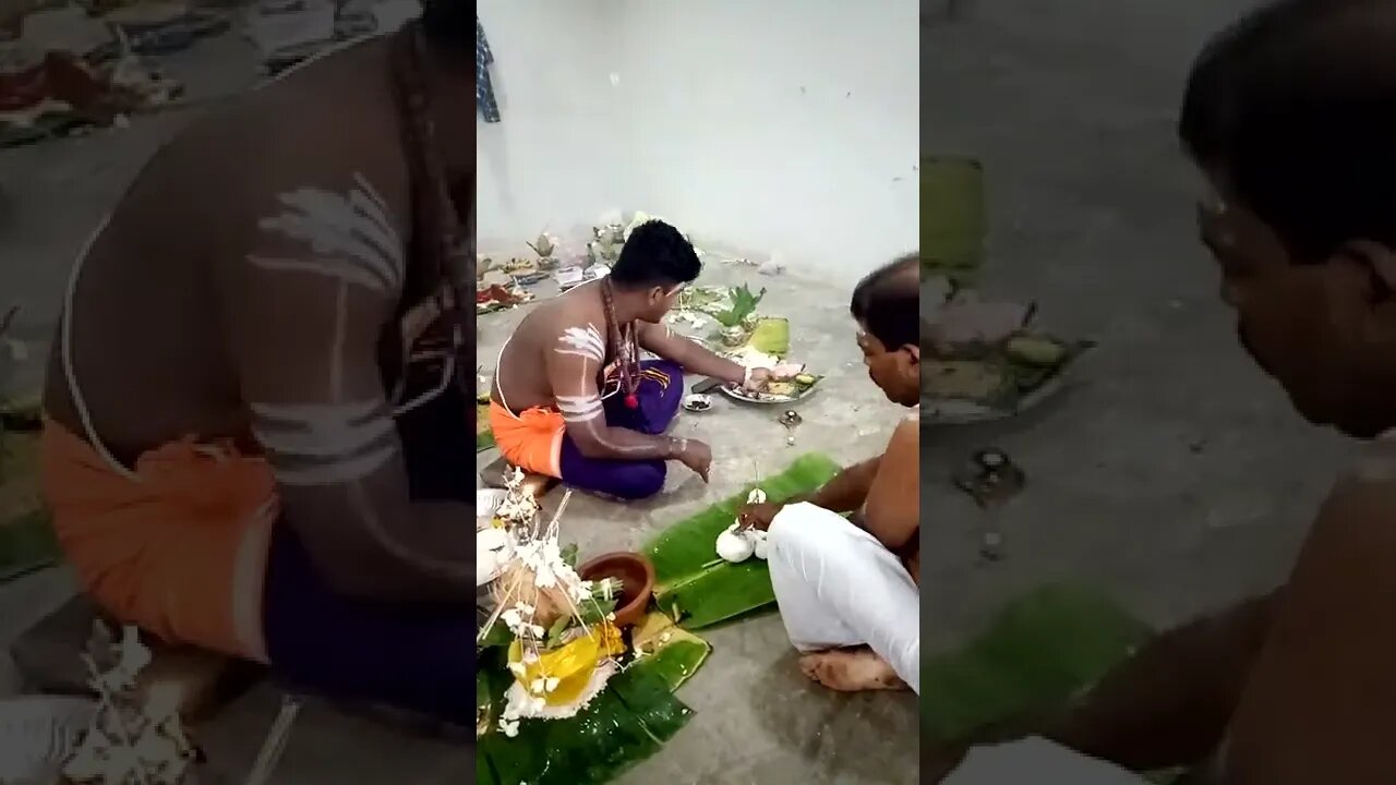 Hindu Priest chanting Mantras Puja for the deceased. #shorts