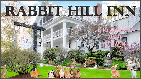 Rabbit Hill Inn B&B. A Lagomorphic Perspective.