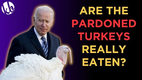 Are the pardoned turkeys REALLY EATEN? @Joshua the Psychic weighs in.