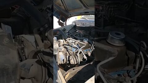 78 F250 Open Headers!