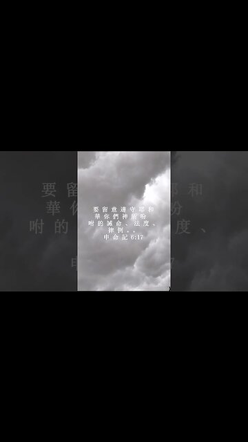 今天的每日聖經經文Jīntiān de měi rì shèngjīng jīng wén