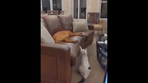 "Wake up brother"