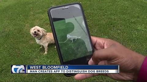 Michigan man creates DoggZamm! app, allows you to identify dog breeds with just a photo