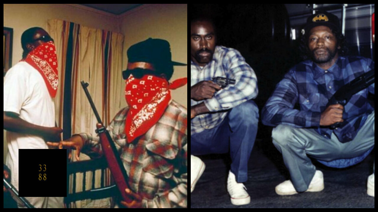 How the Government Created Gangs / Beginners Guide