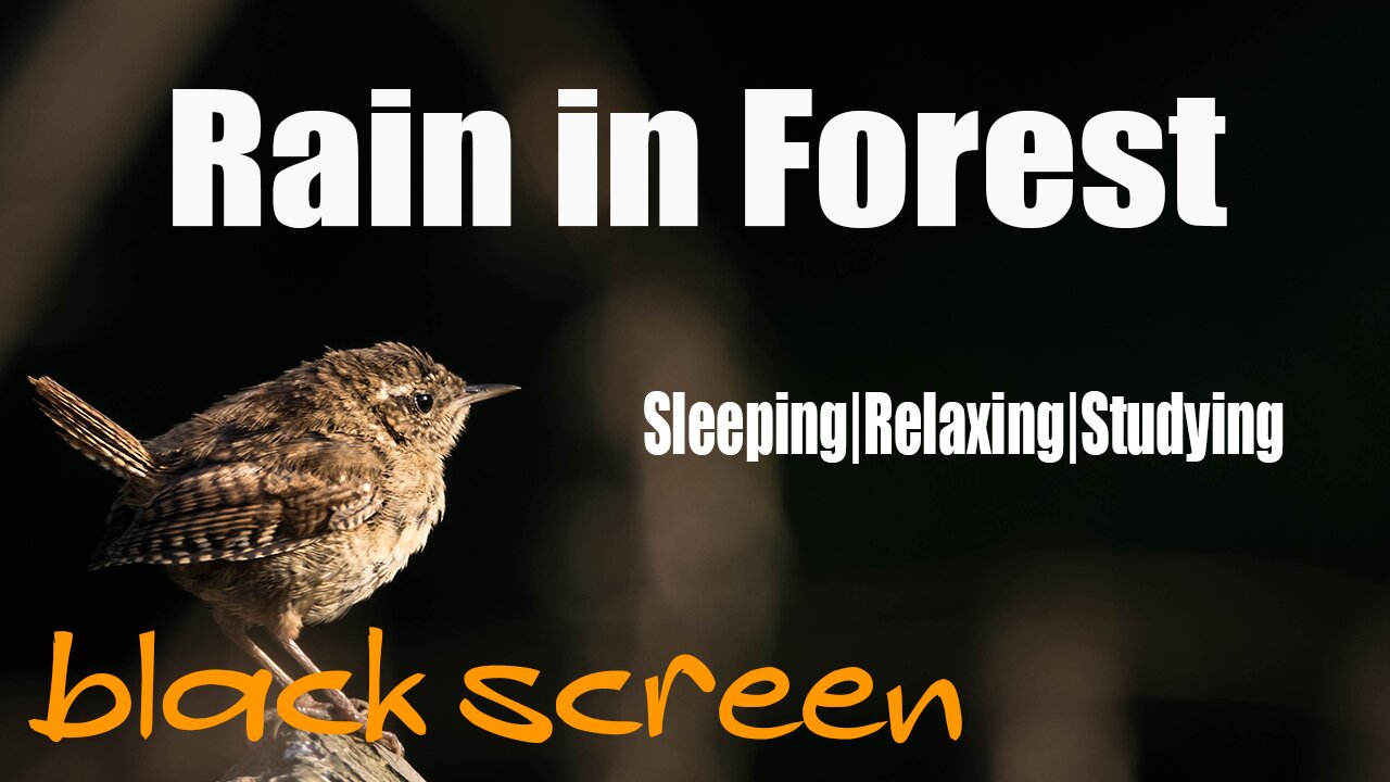 Rainforest Sounds for Sleeping 5 Minutes 😴 Fall Relaxing Fast Black Screen 🎧 Nature Sounds