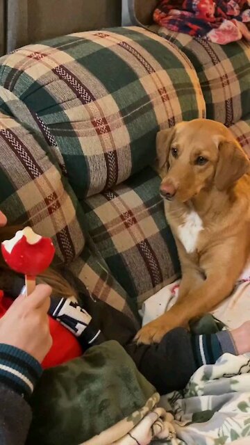 I just want one bite 😅😅😅