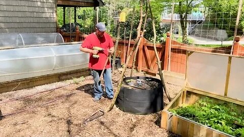 Building a TeePee for my Lima beans