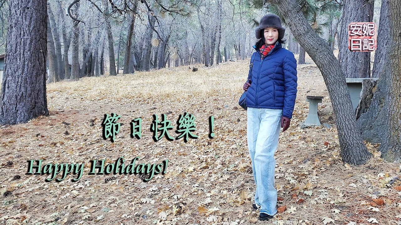 【安妮日記】節日快樂！ Merry Christmas & Happy New Year!