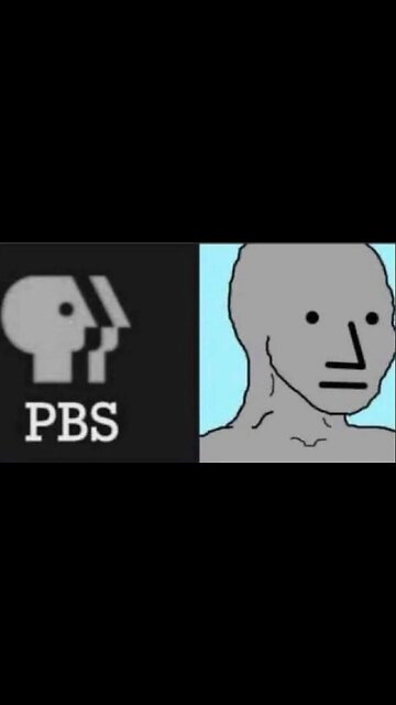 What is an NPC?