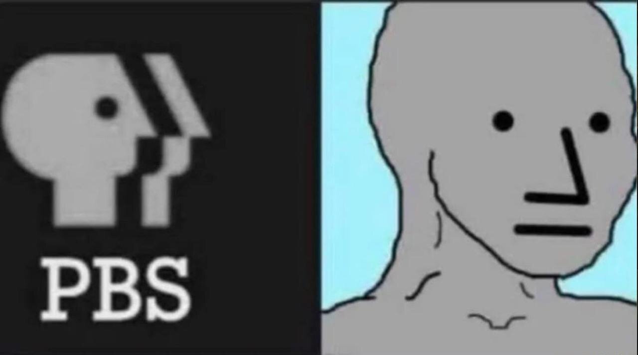 What is an NPC?