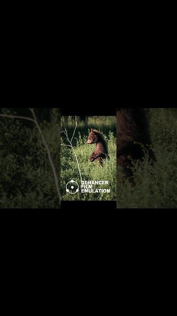 Make Digital Photos Look Like Film