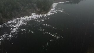 Nature's First Snow