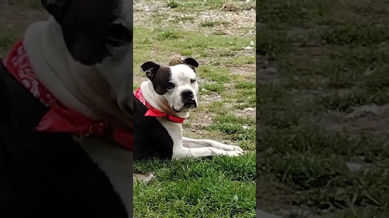 handsome boy.