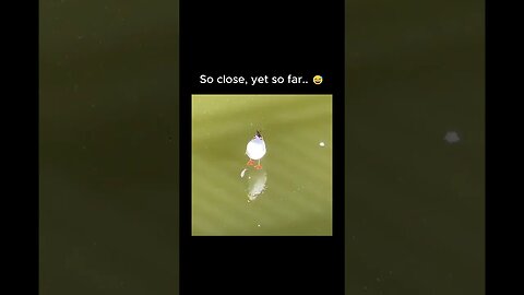 Fish is such a troll tho 😅