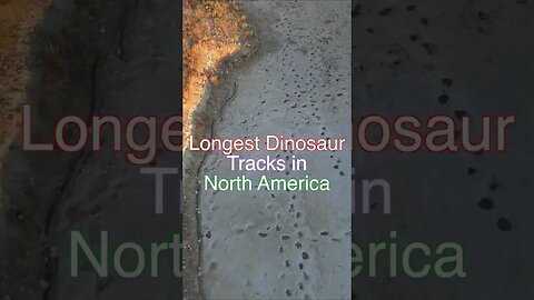 The Longest Dinosaur Tracks in North America #history #dinosaur #incredible #mindblowing #colorado