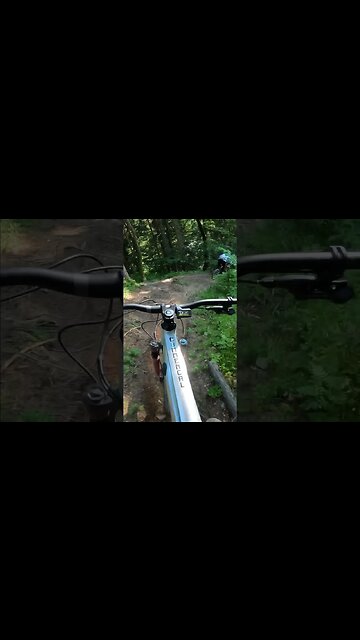 The TACKY CHAN! Interested in how it rides? Full video on main profile. #mtb #ytshorts #schwalbe