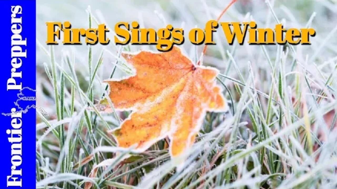 First signs of Winter