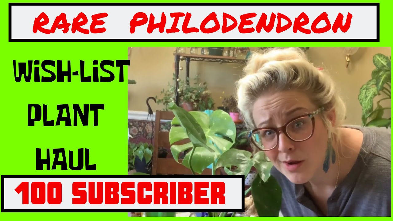 RARE PHILODENDRON UNBOXING | 100 SUBSCRIBERS WISH LIST PLANT