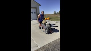 Wheelbarrow Workout