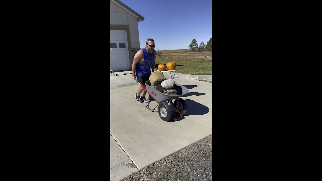 Wheelbarrow Workout