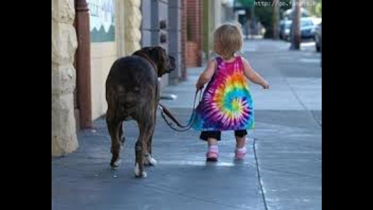 Babies walking with dogs