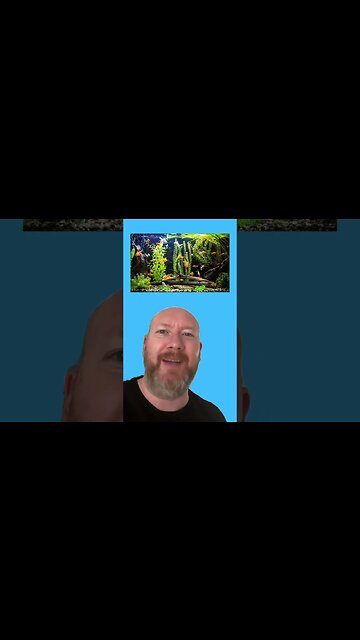 The latest guilt trip 🤦‍♂️