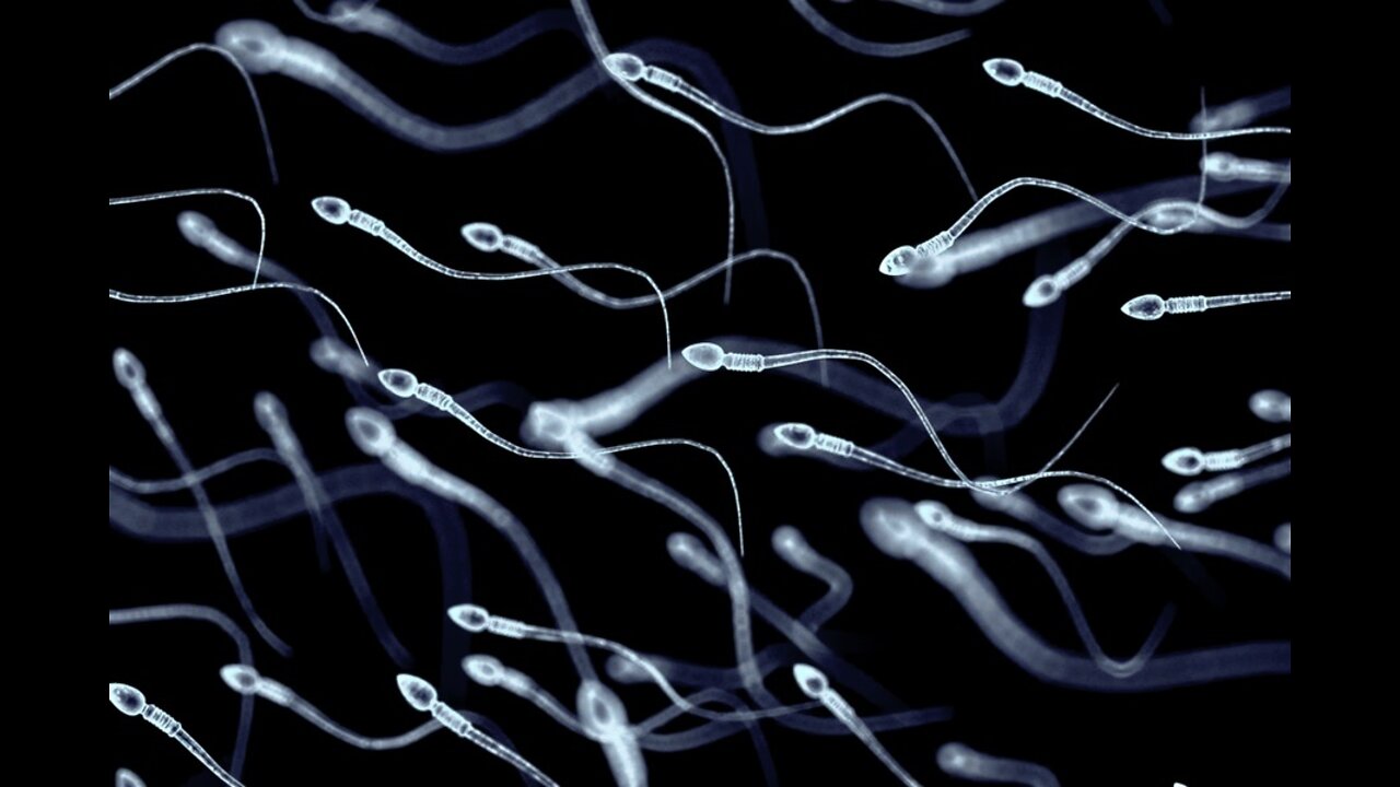 Establishment Scientists Claim Male Infertility linked to "LONG COVID" What a JOKE!