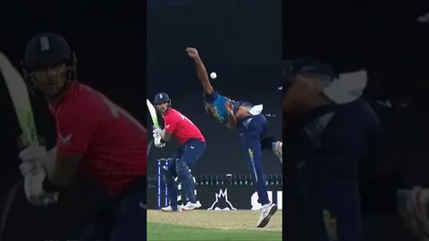 #cricket