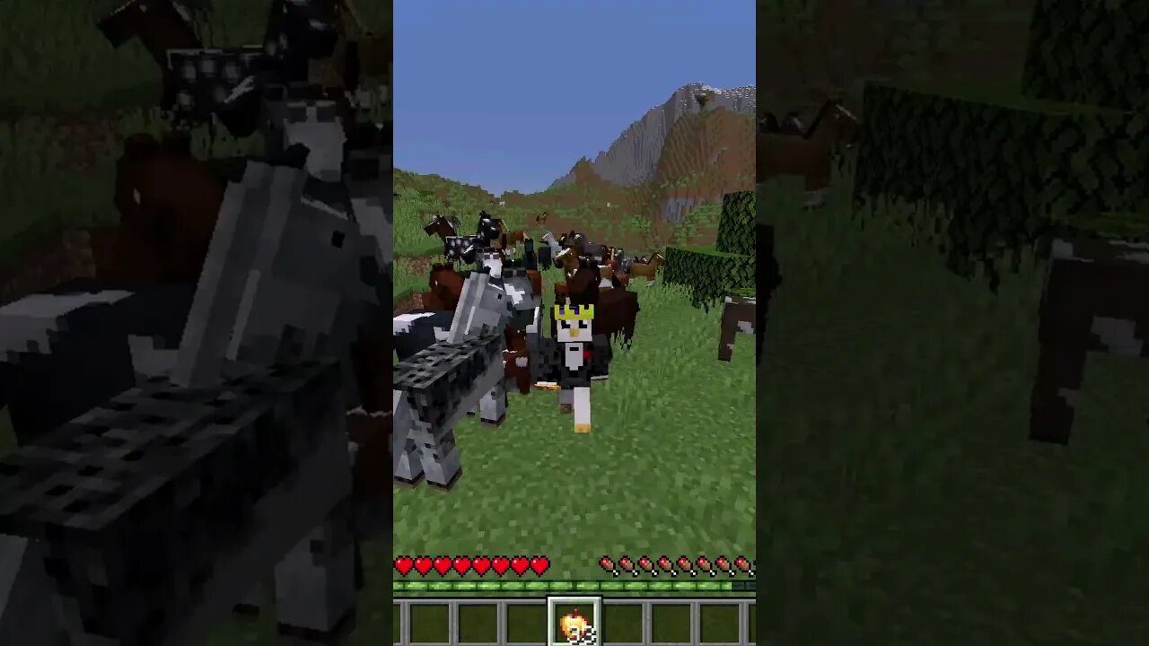 Minecraft neighhh ain't taking that disrespect